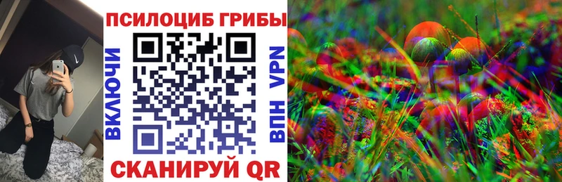 Галлюциногенные грибы Psilocybe  Купить где  Мурманск 
