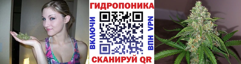 Купить где  Мурманск  Бошки Шишки OG Kush 